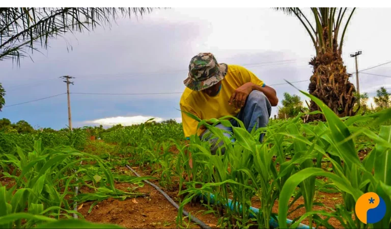 Cooperativas ampliam crédito rural e impulsionam agronegócio em Minas Gerais