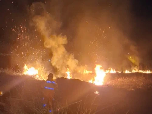 Incêndio em vegetação mobiliza Corpo de Bombeiros em condomínio às margens da BR-354
